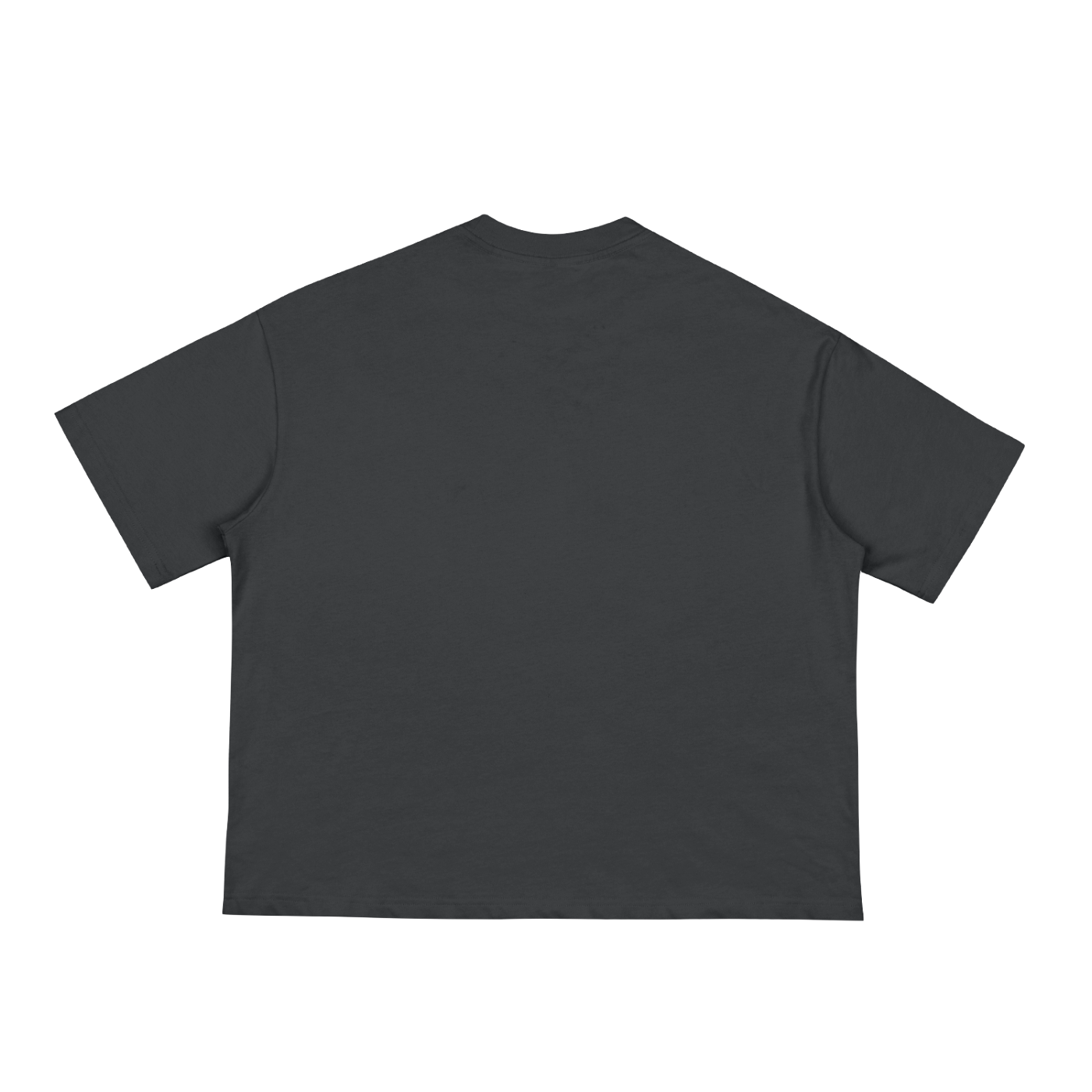 1804 till I die boxy fit t-shirt - 230 gsm